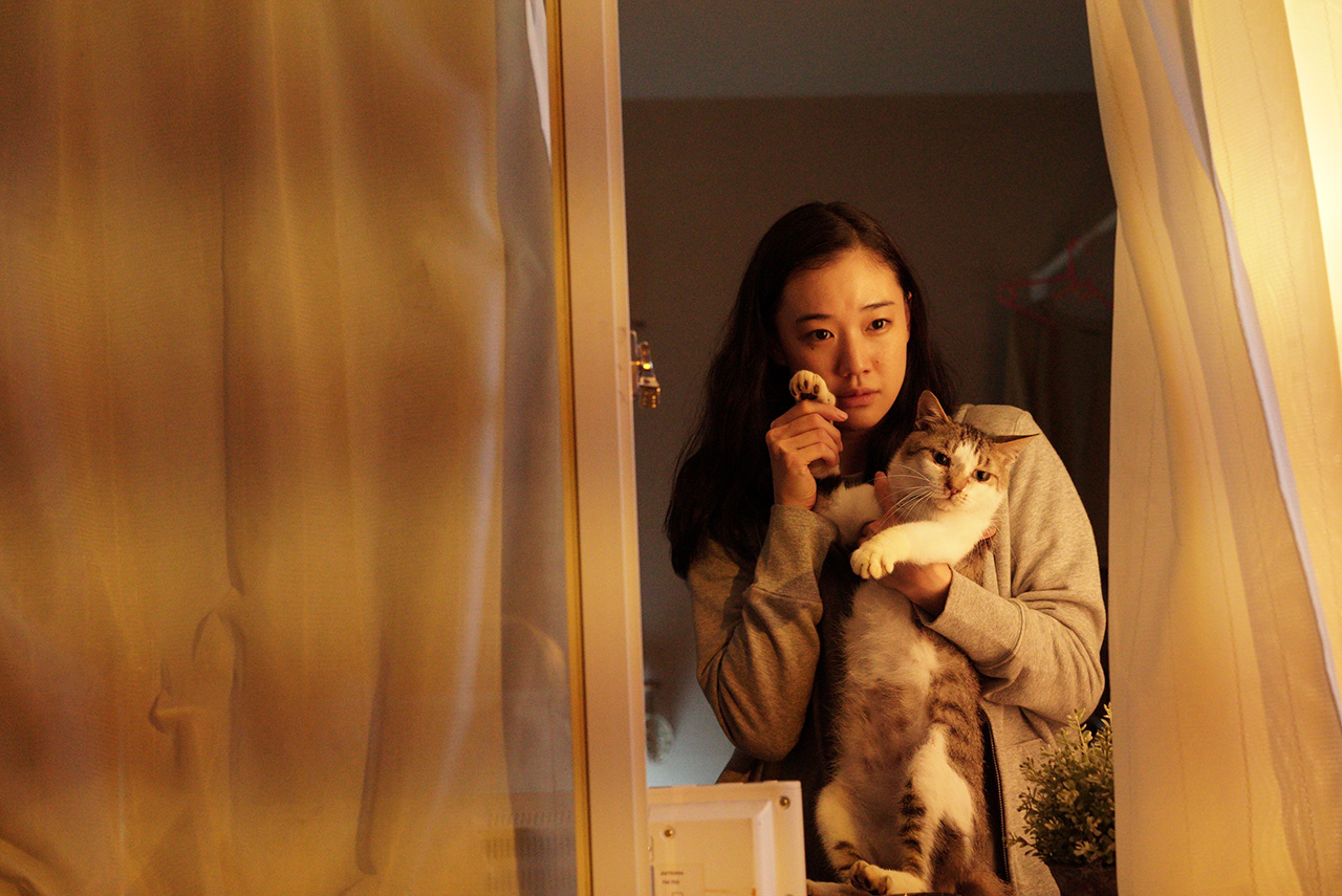 安昙春子下落不明剧照的剧照