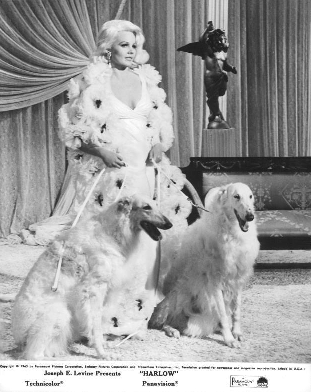 珍哈露情史剧照的剧照