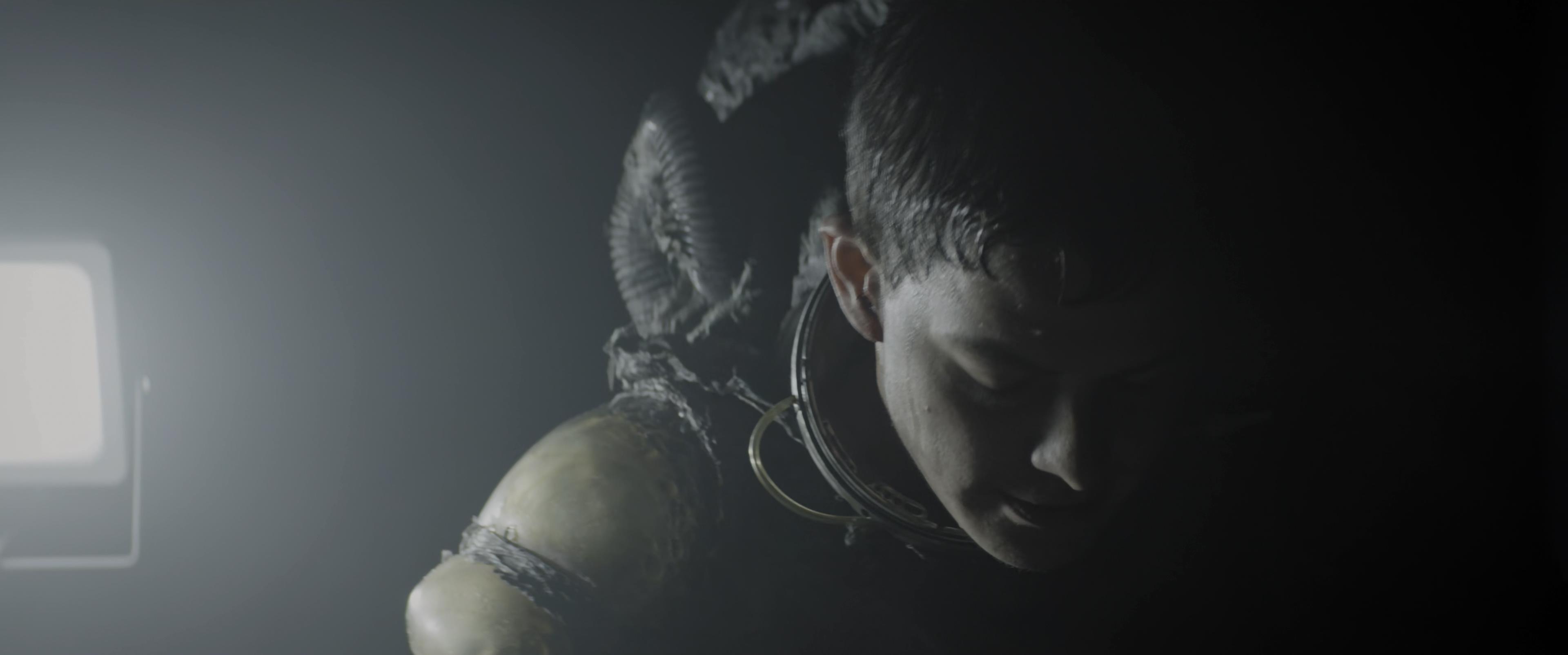 灭绝剧照的剧照