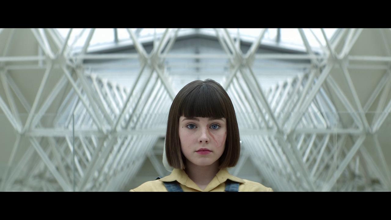 灭绝剧照的剧照