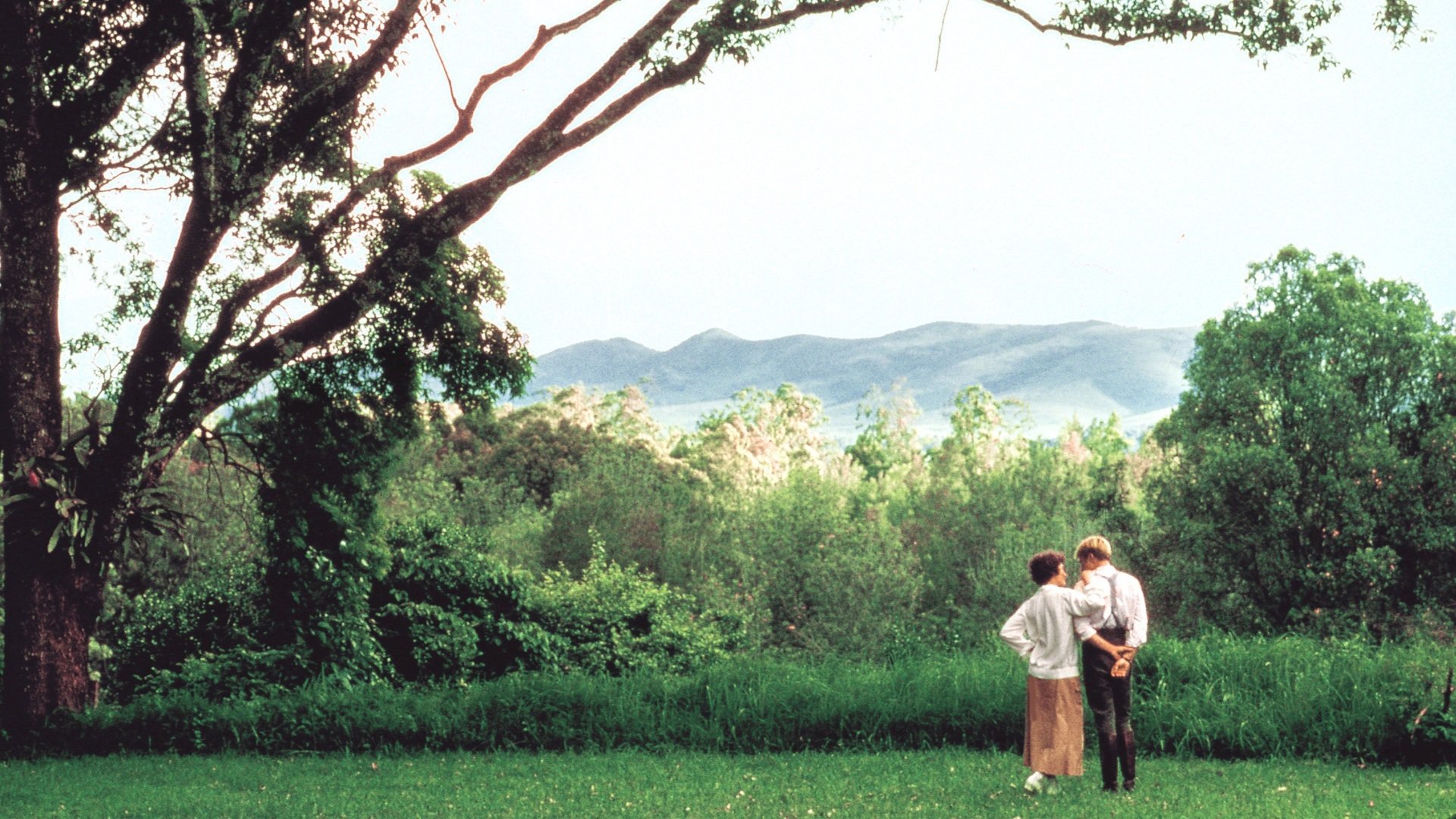 走出非洲剧照的剧照