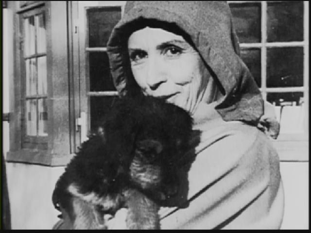 走出非洲剧照的剧照