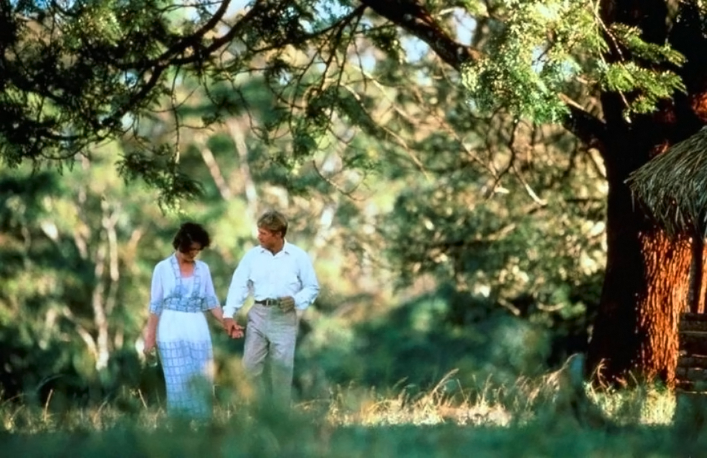 走出非洲剧照的剧照