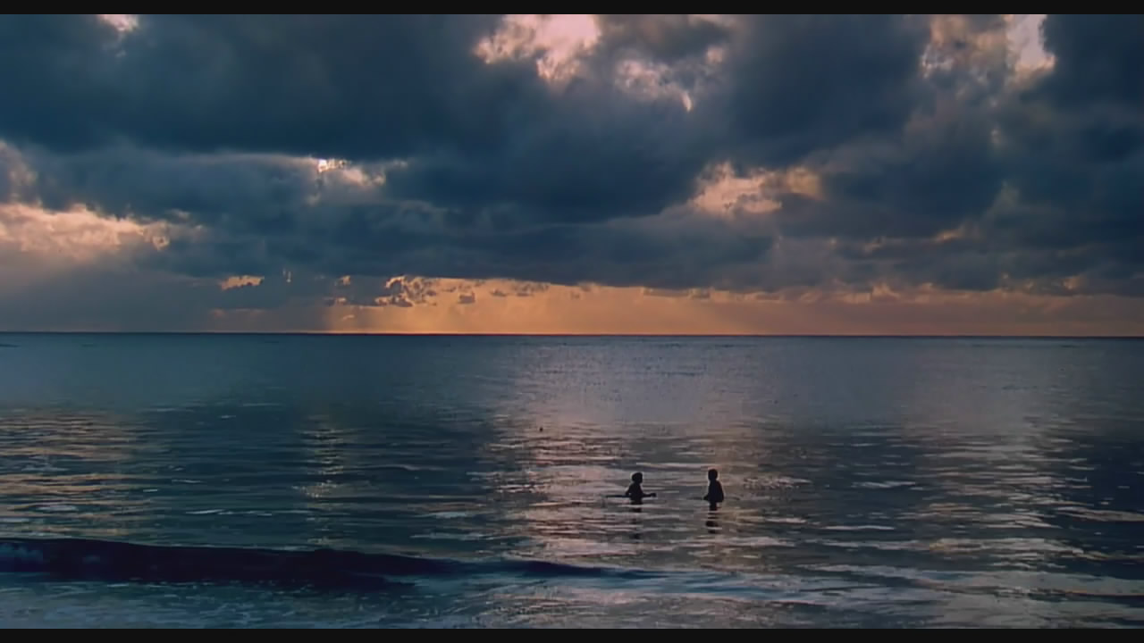 走出非洲剧照的剧照