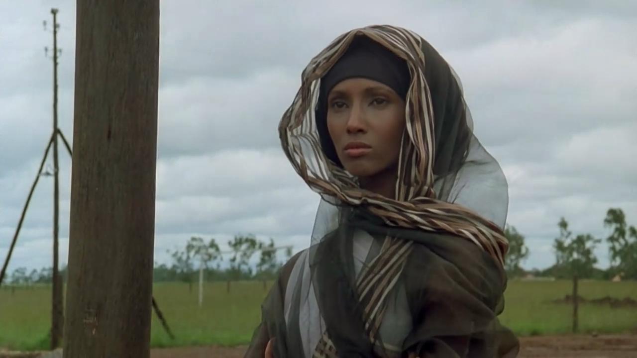 走出非洲剧照的剧照