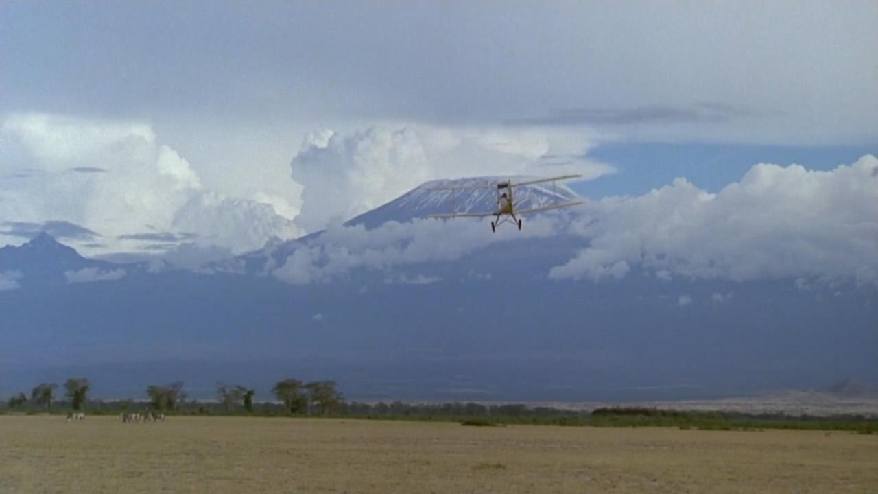 走出非洲剧照的剧照