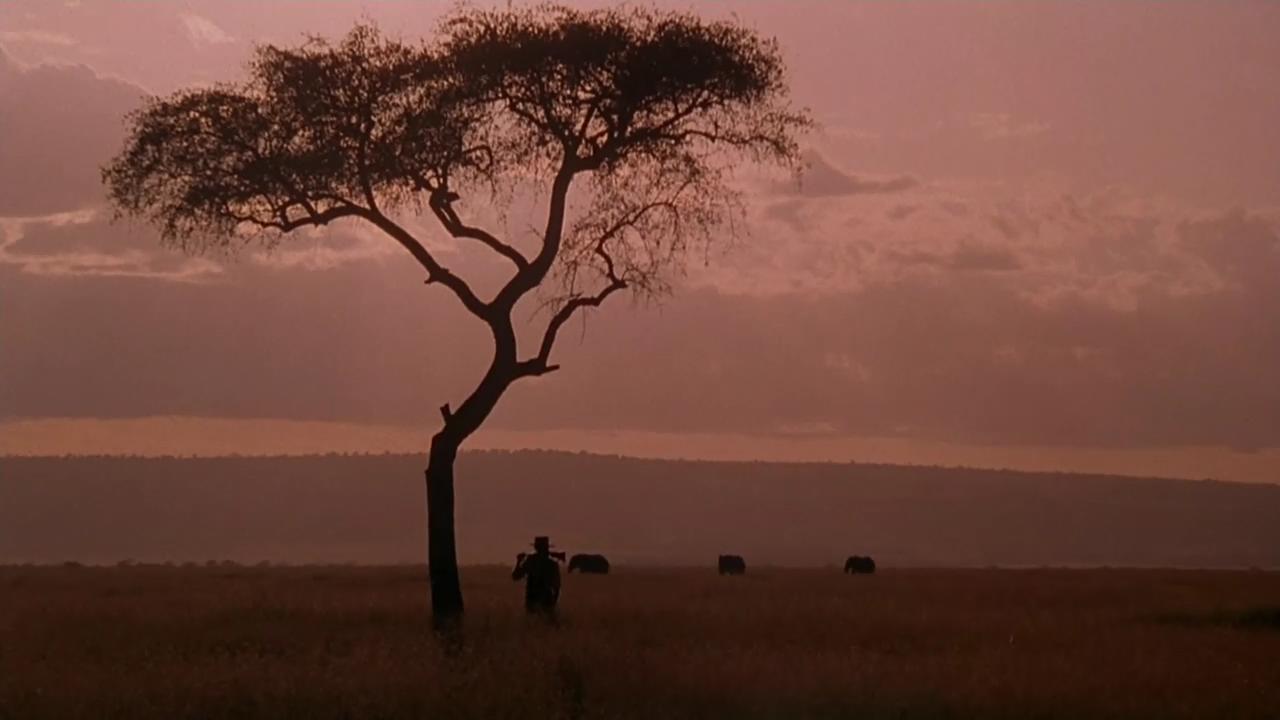 走出非洲剧照的剧照