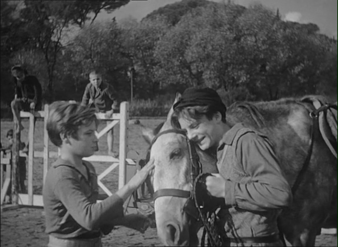 擦鞋童剧照的剧照