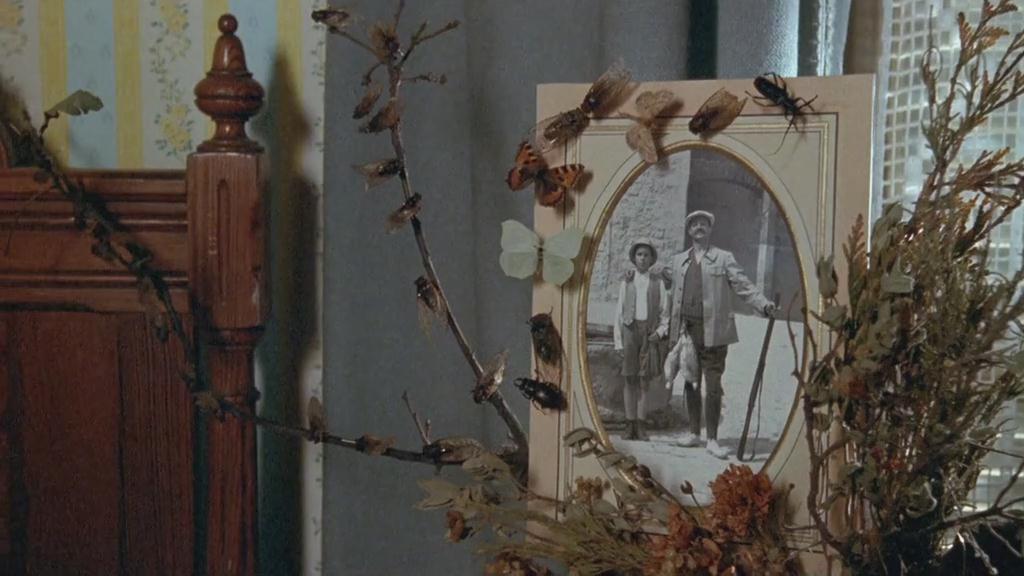 母亲的城堡剧照的剧照