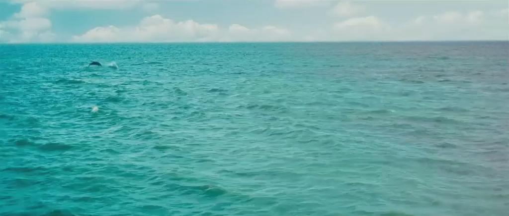 影子爱人剧照的剧照