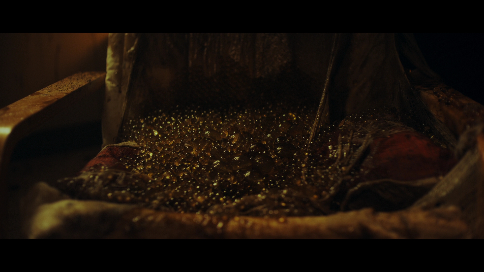 变蚊人剧照的剧照