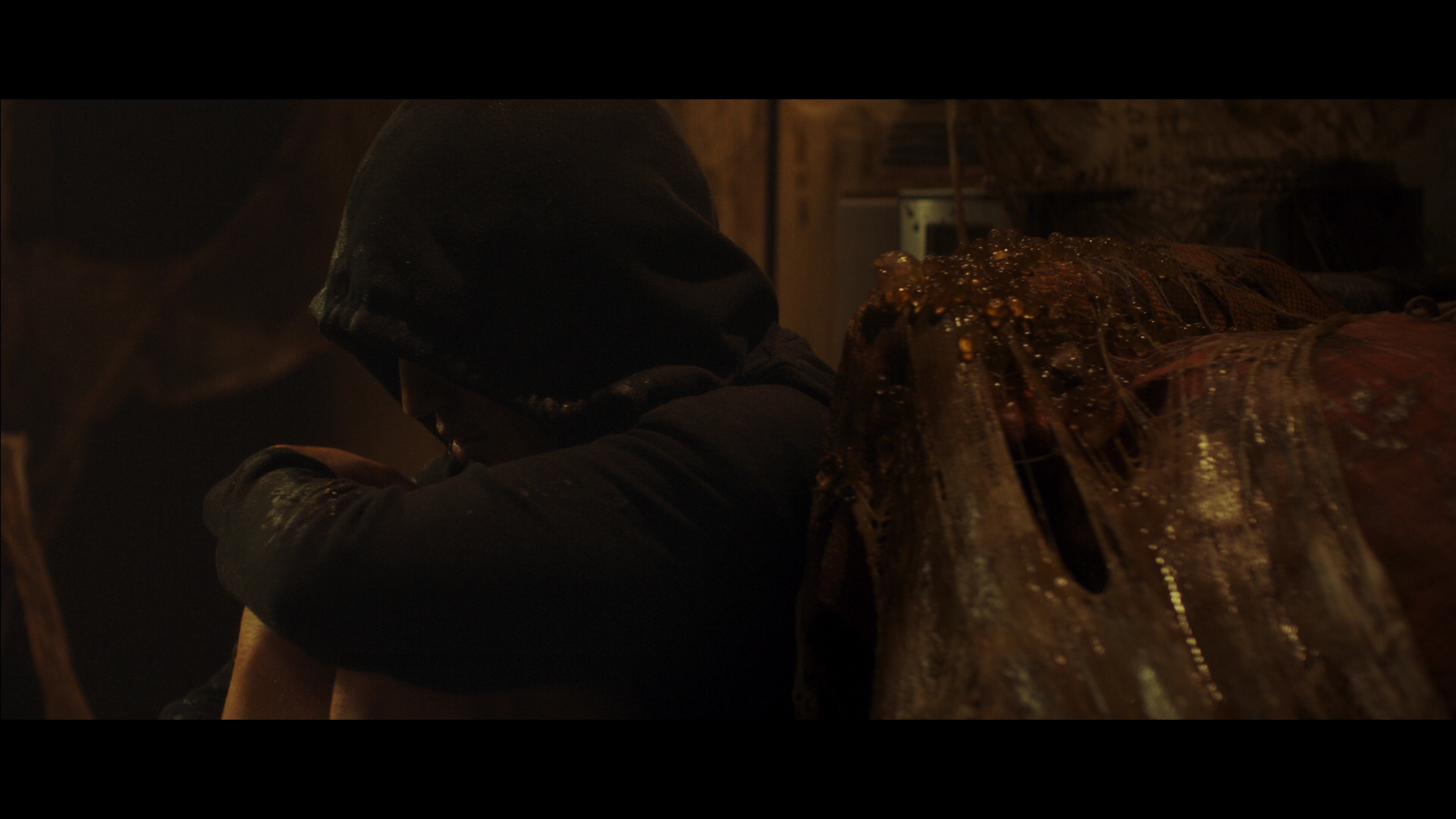 变蚊人剧照的剧照