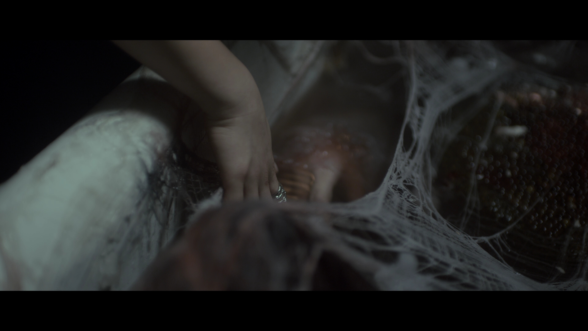 变蚊人剧照的剧照