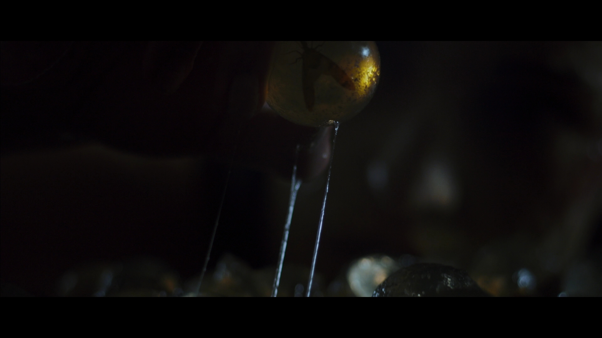 变蚊人剧照的剧照