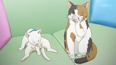 青春期猪头少年不做怀梦少女的梦剧照的剧照