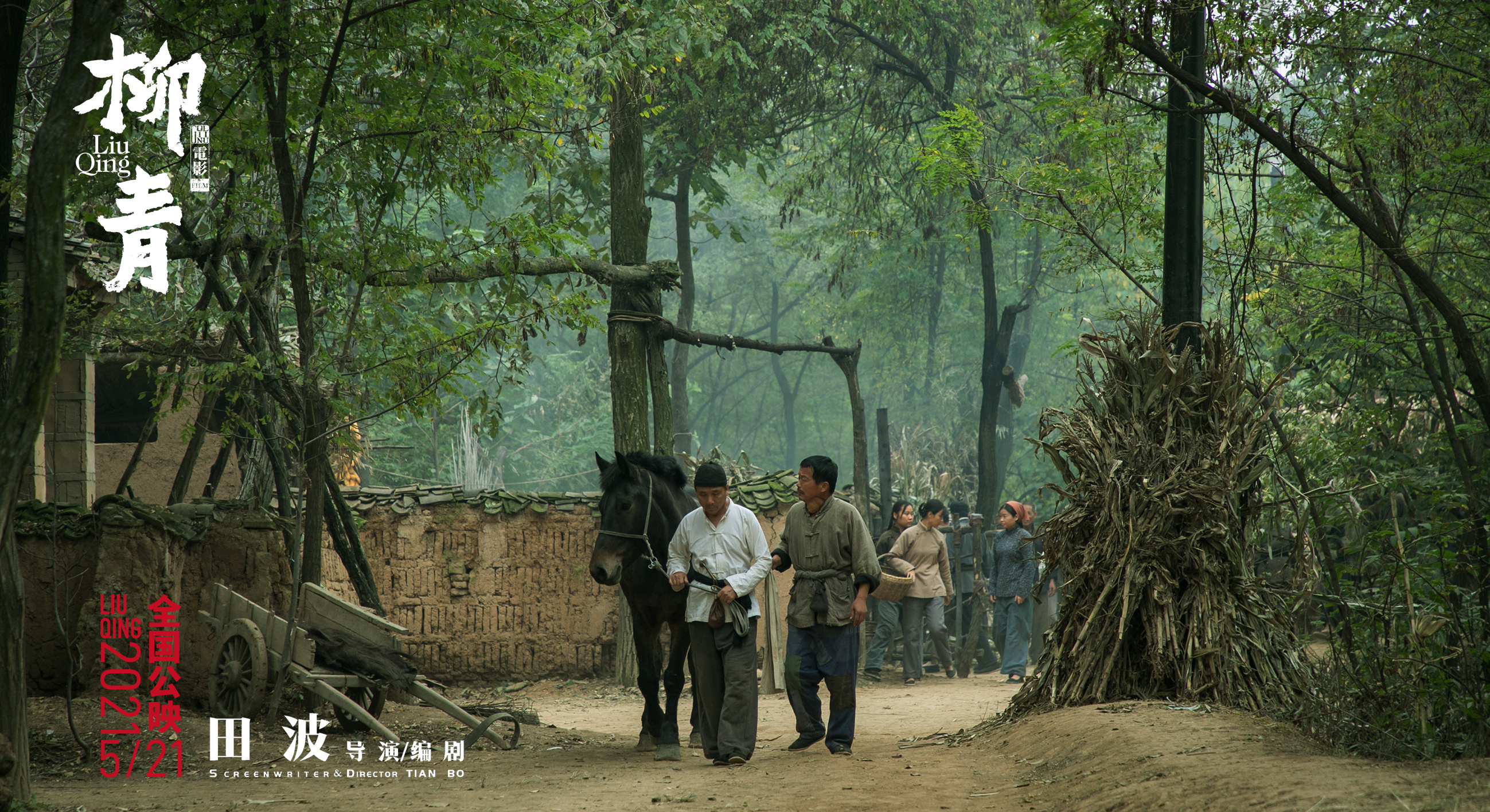 柳青剧照的剧照