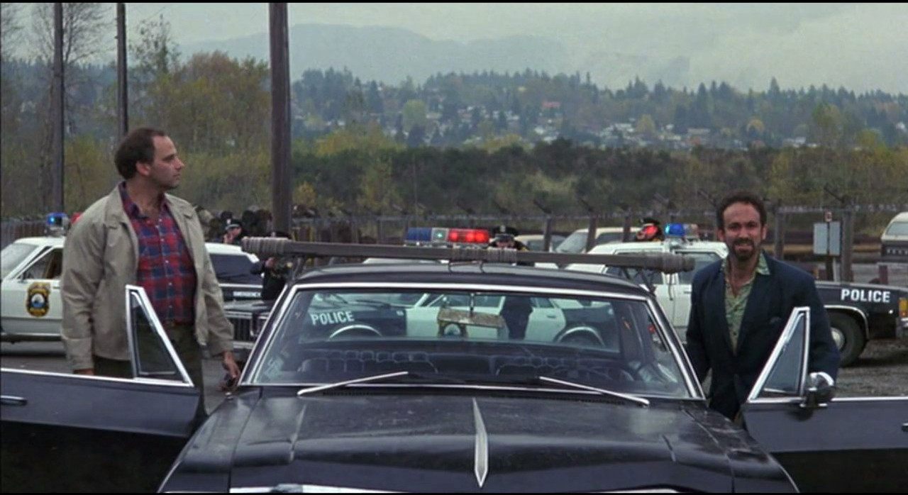 灵犬宾果剧照的剧照