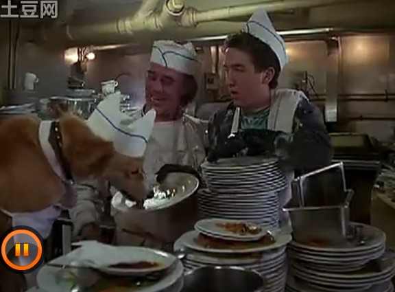 灵犬宾果剧照的剧照