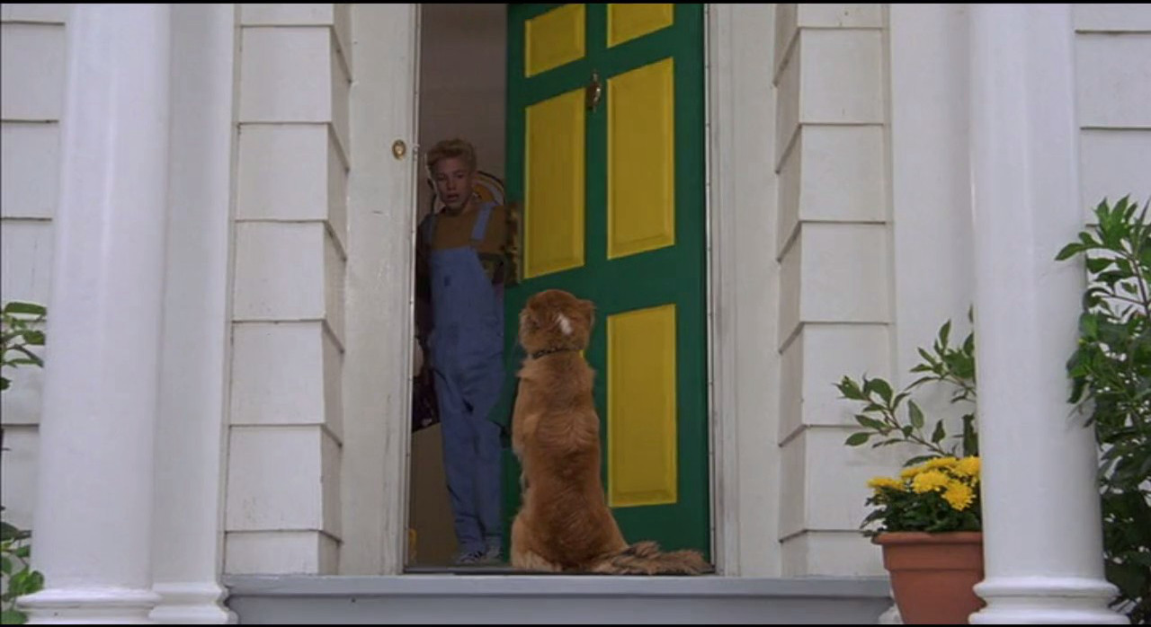 灵犬宾果剧照的剧照