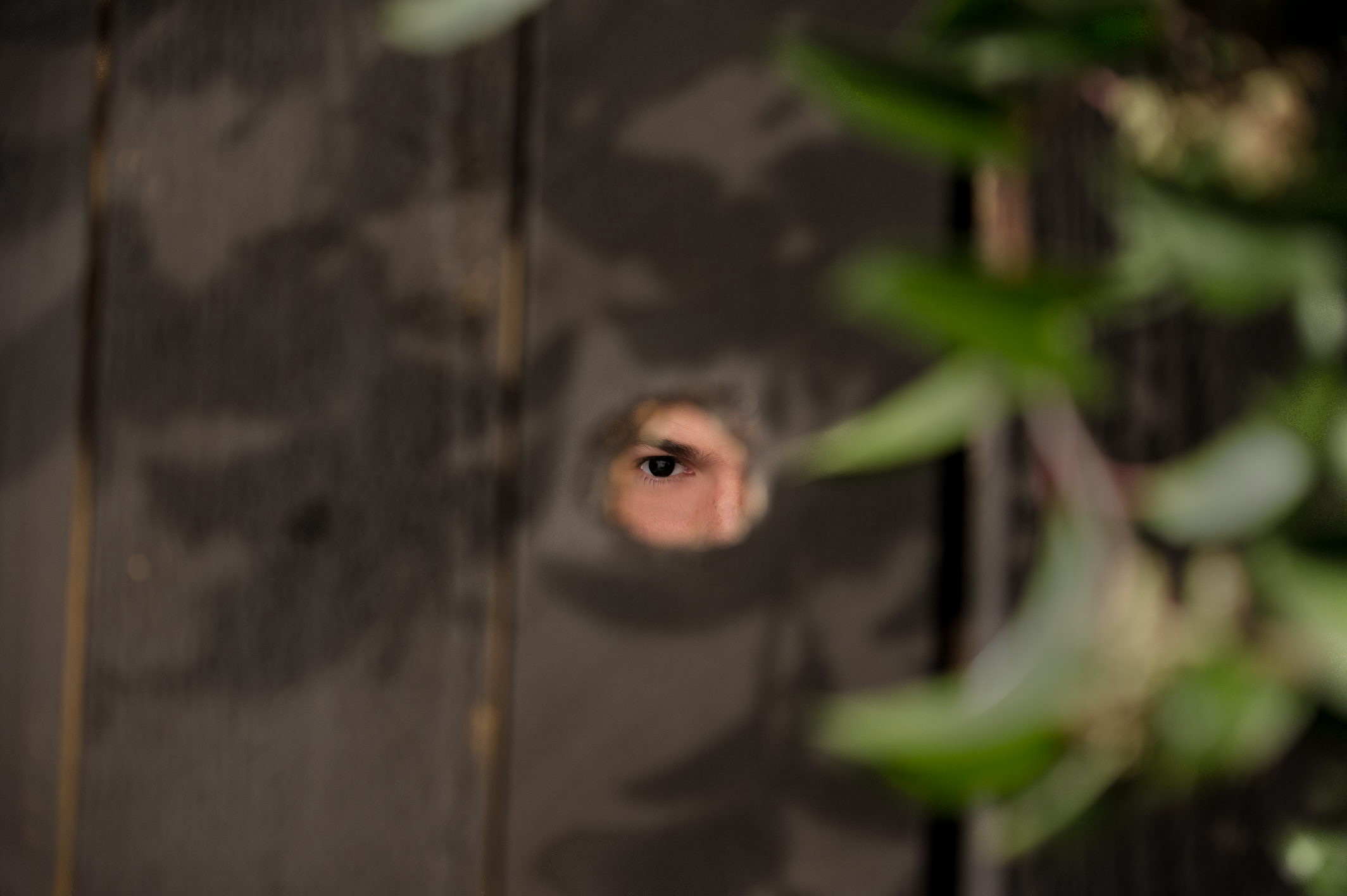 紫檀巷剧照的剧照