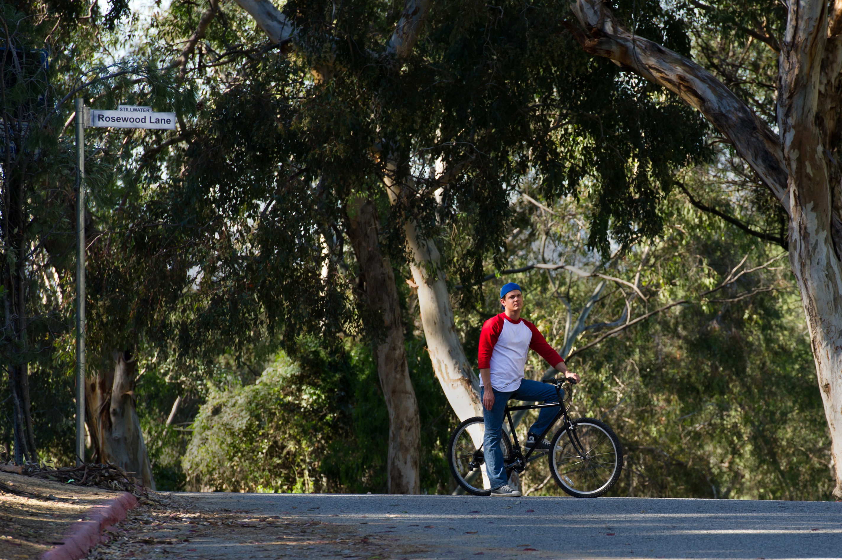 紫檀巷剧照的剧照