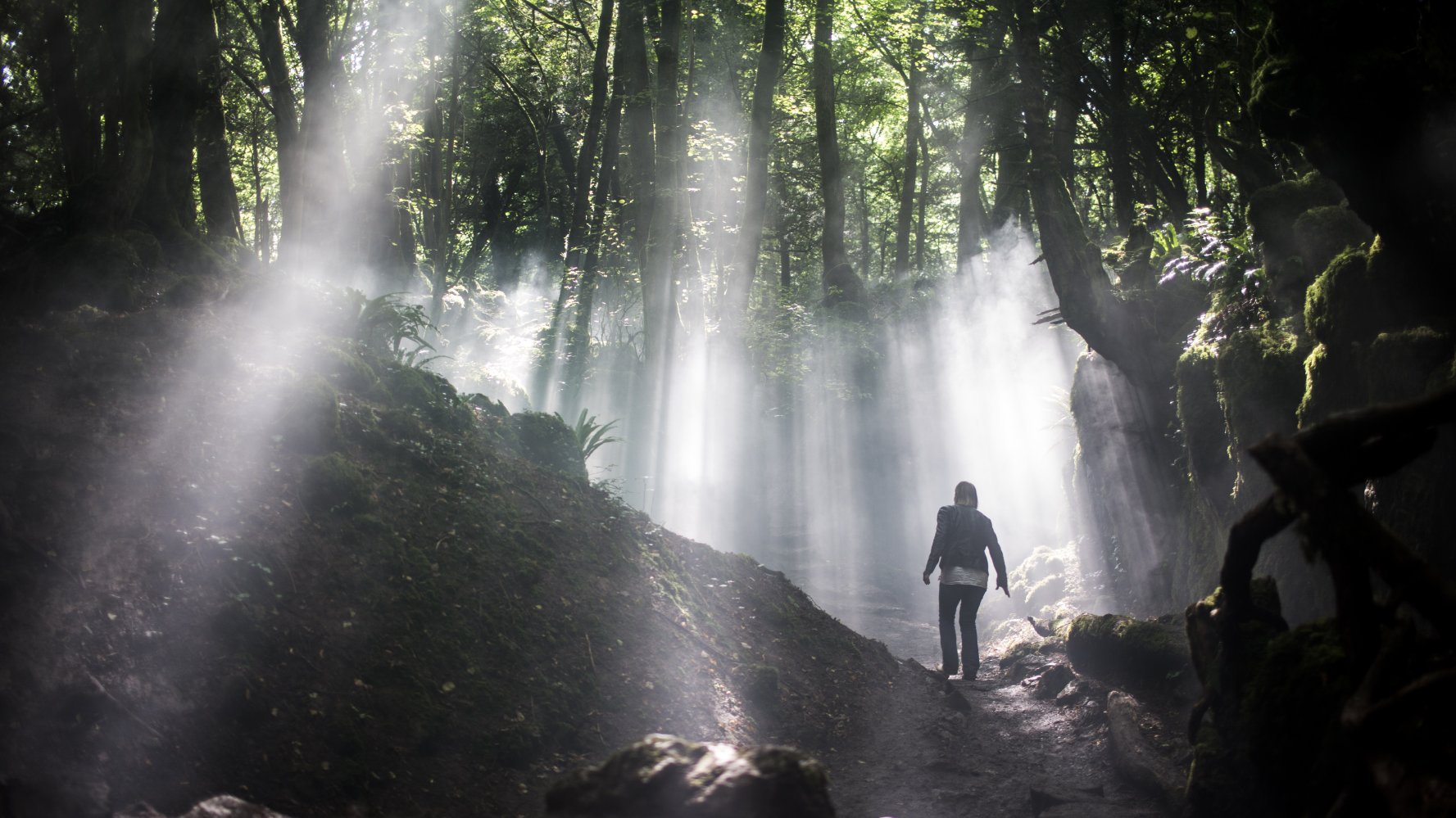 别敲两次门剧照的剧照