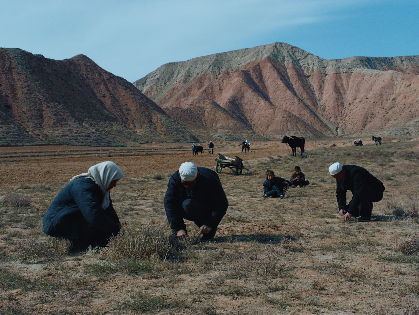 清水里的刀子剧照的剧照
