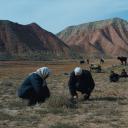 清水里的刀子剧照