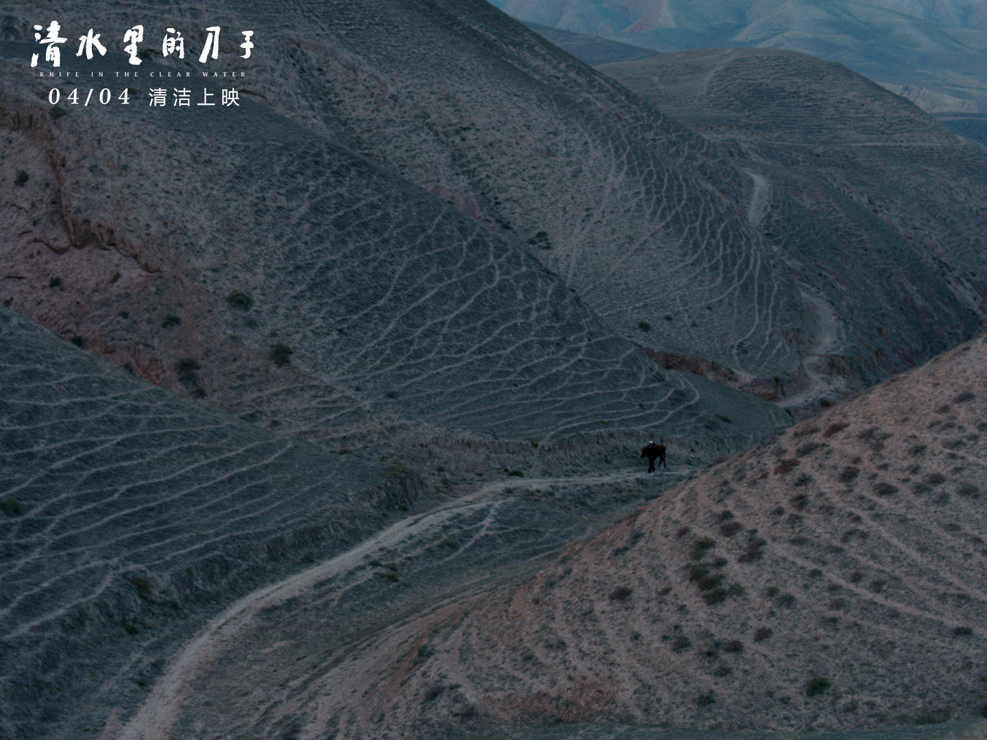 清水里的刀子剧照的剧照