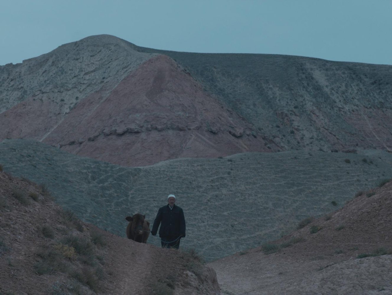 清水里的刀子剧照的剧照