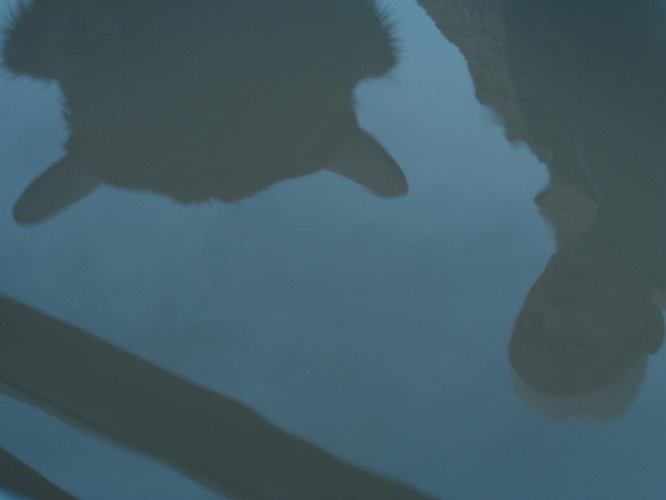 清水里的刀子剧照的剧照