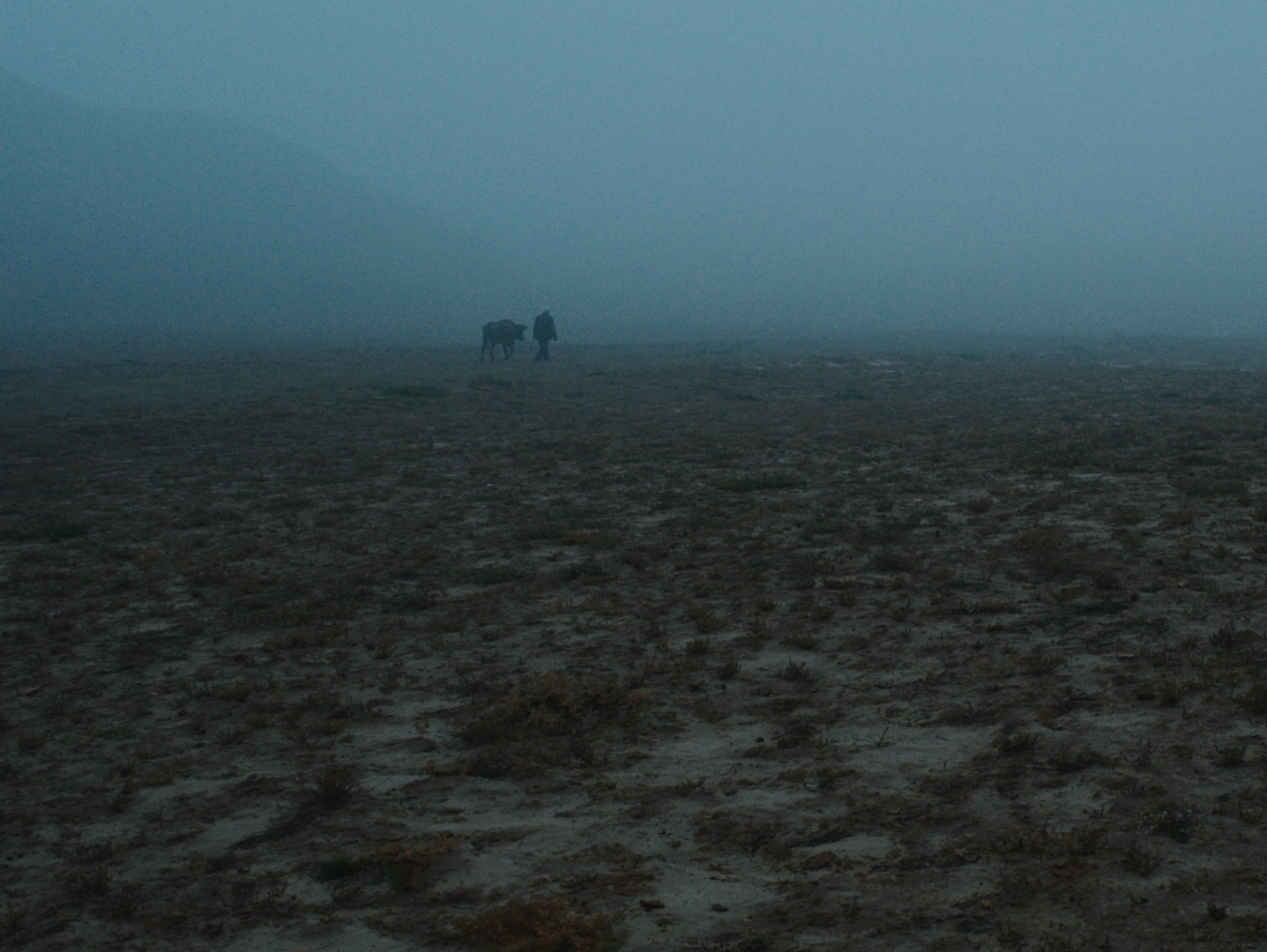 清水里的刀子剧照的剧照