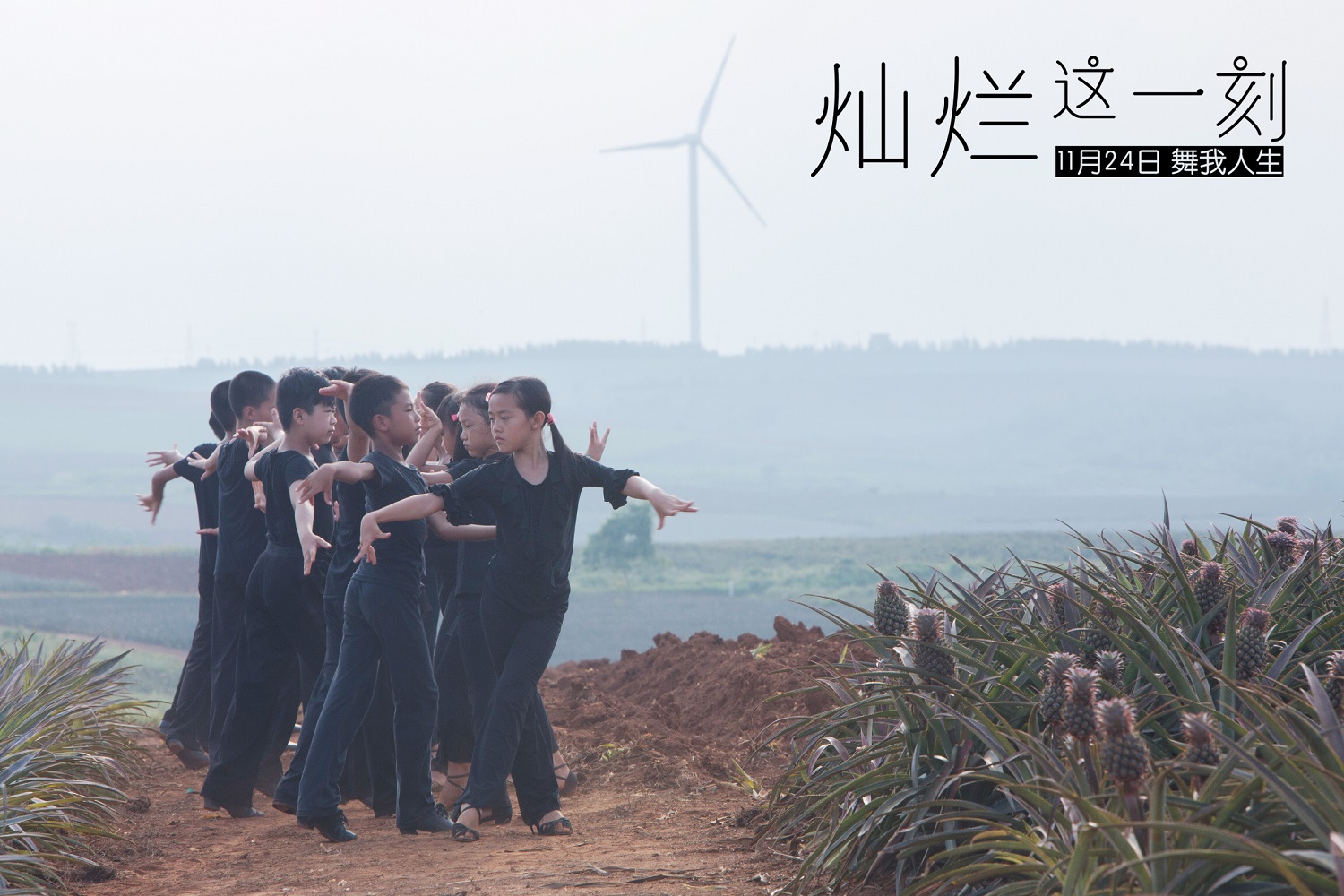 灿烂这一刻剧照的剧照