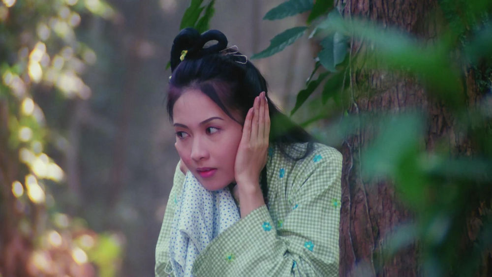 九星报喜剧照的剧照