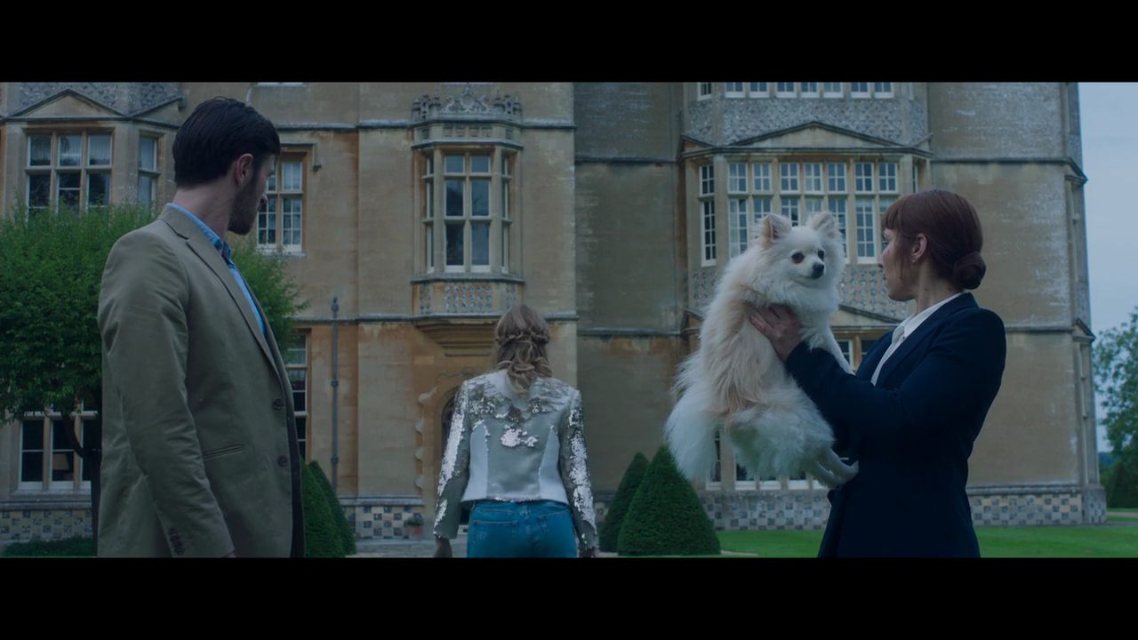 贴身女保镖剧照的剧照