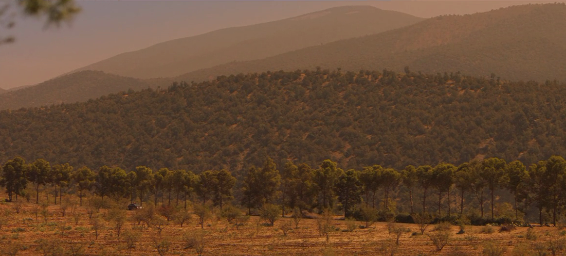 贴身女保镖剧照的剧照