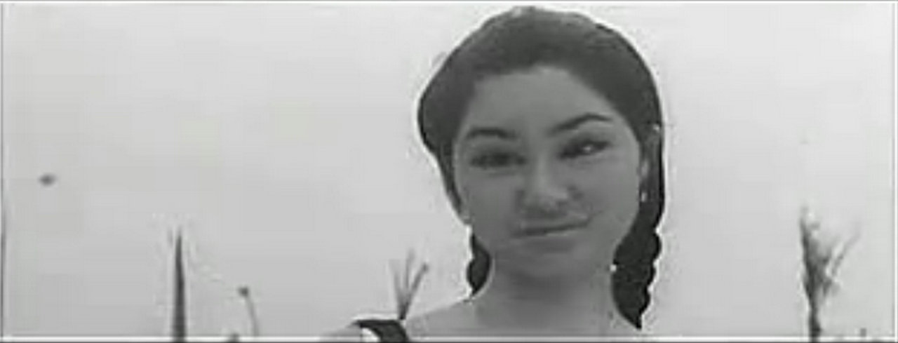 张帝找阿珠剧照的剧照