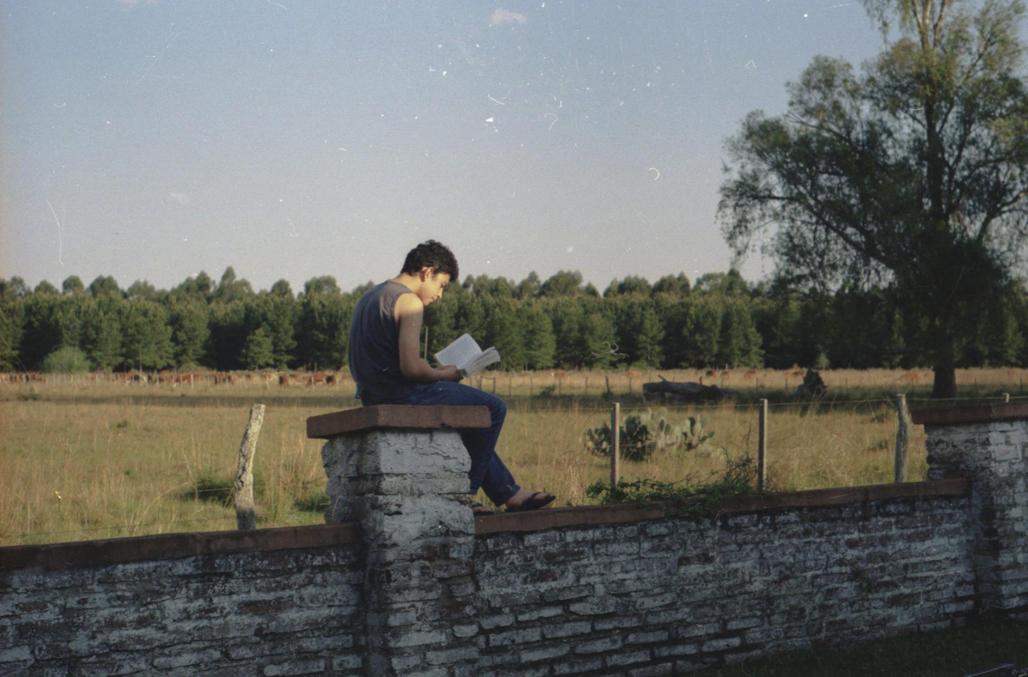 是爱非友剧照的剧照