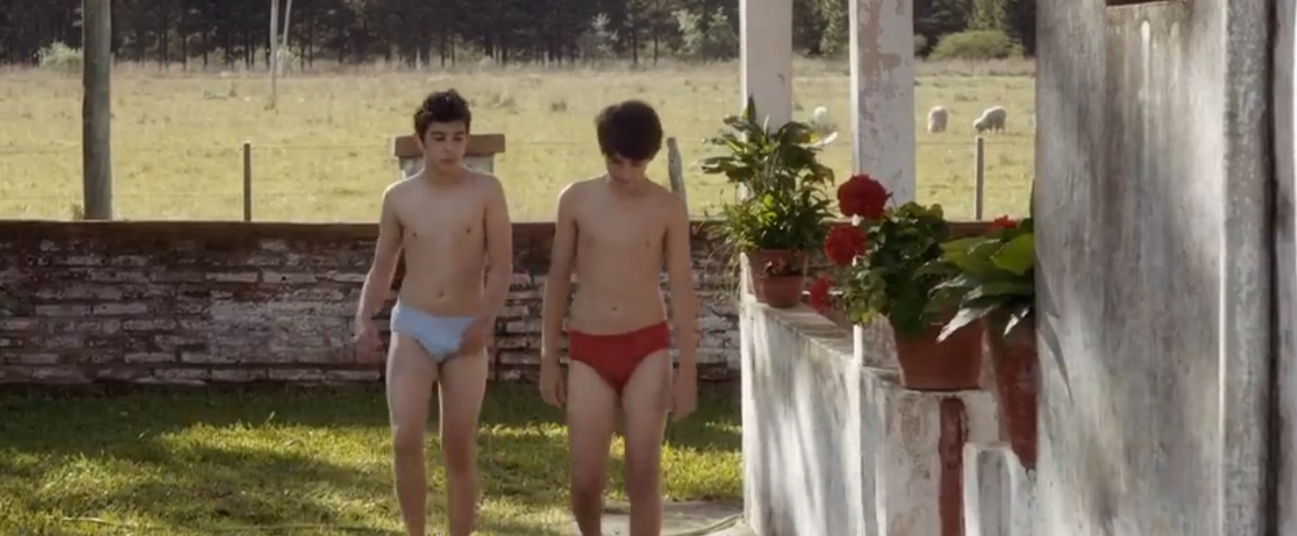 是爱非友剧照的剧照