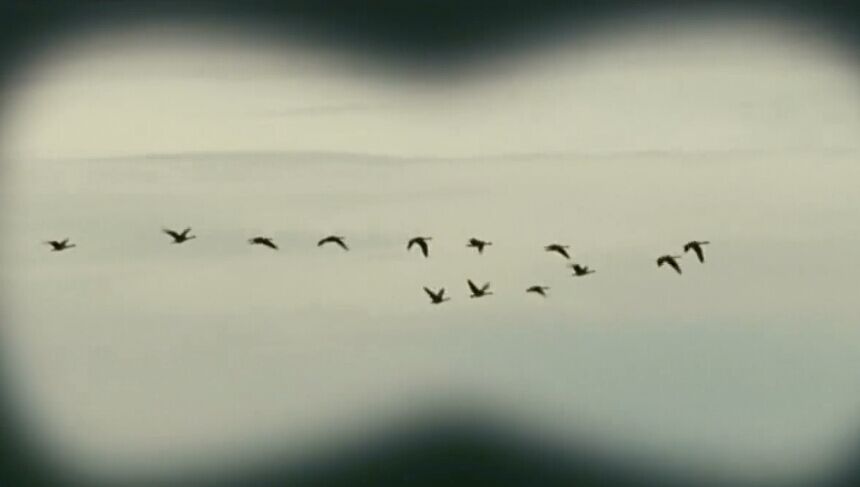 五月的四天剧照的剧照