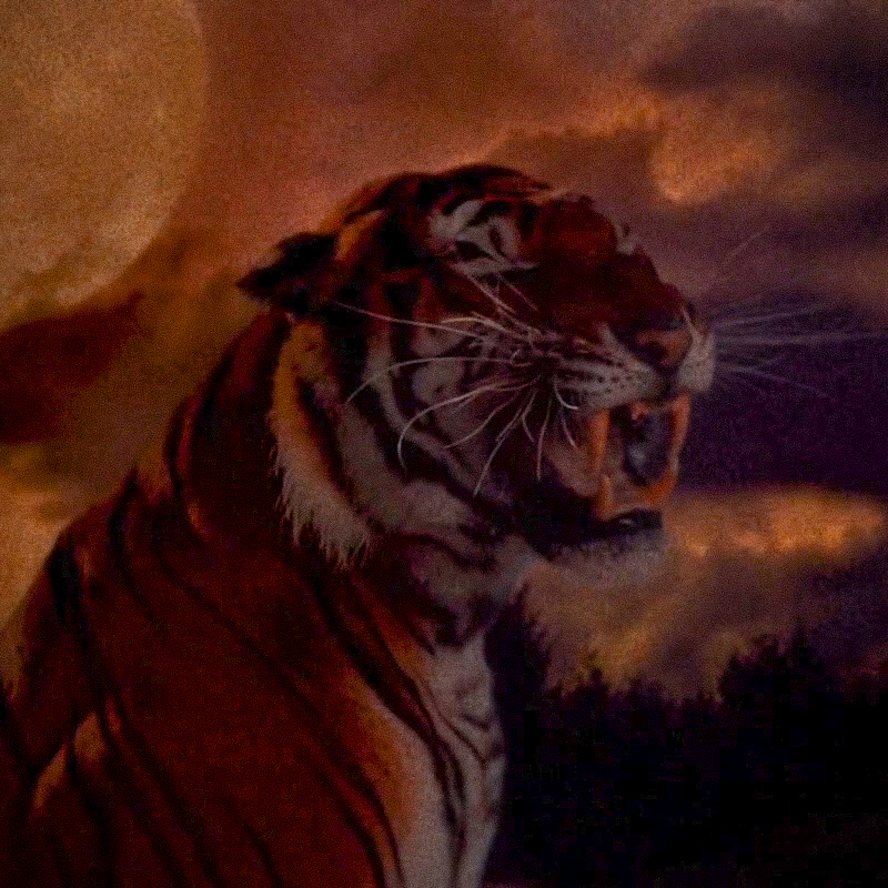 曼蒂剧照的剧照