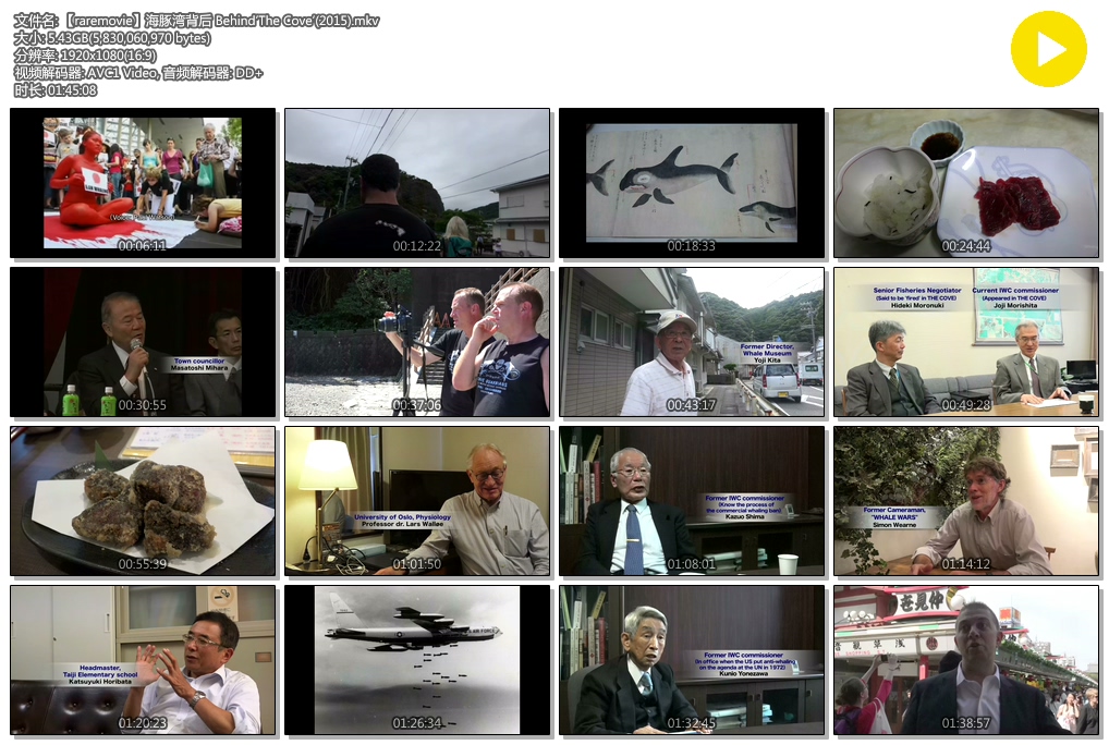 海豚湾背后剧照的剧照