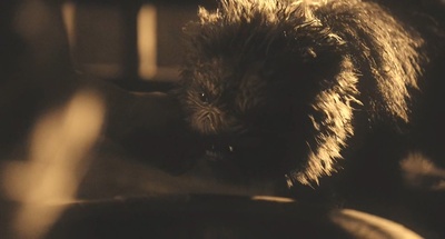 物怪剧照的剧照