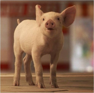 麦兵兵之夺宝联“萌”剧照的剧照