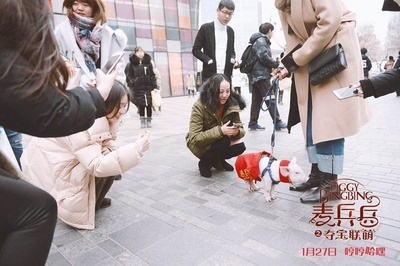 麦兵兵之夺宝联“萌”剧照的剧照