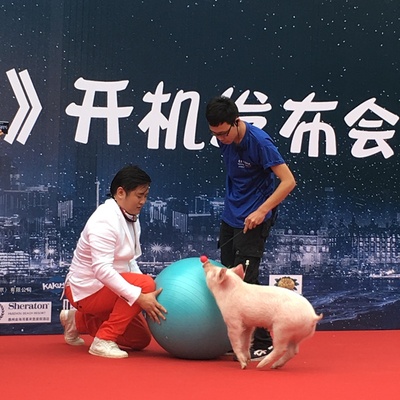 麦兵兵之夺宝联“萌”剧照的剧照