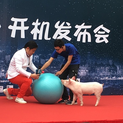 麦兵兵之夺宝联“萌”剧照的剧照