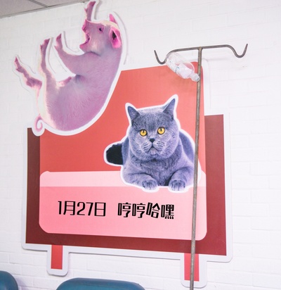 麦兵兵之夺宝联“萌”剧照的剧照