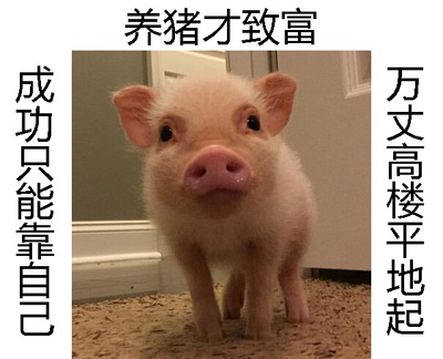 麦兵兵之夺宝联“萌”剧照的剧照