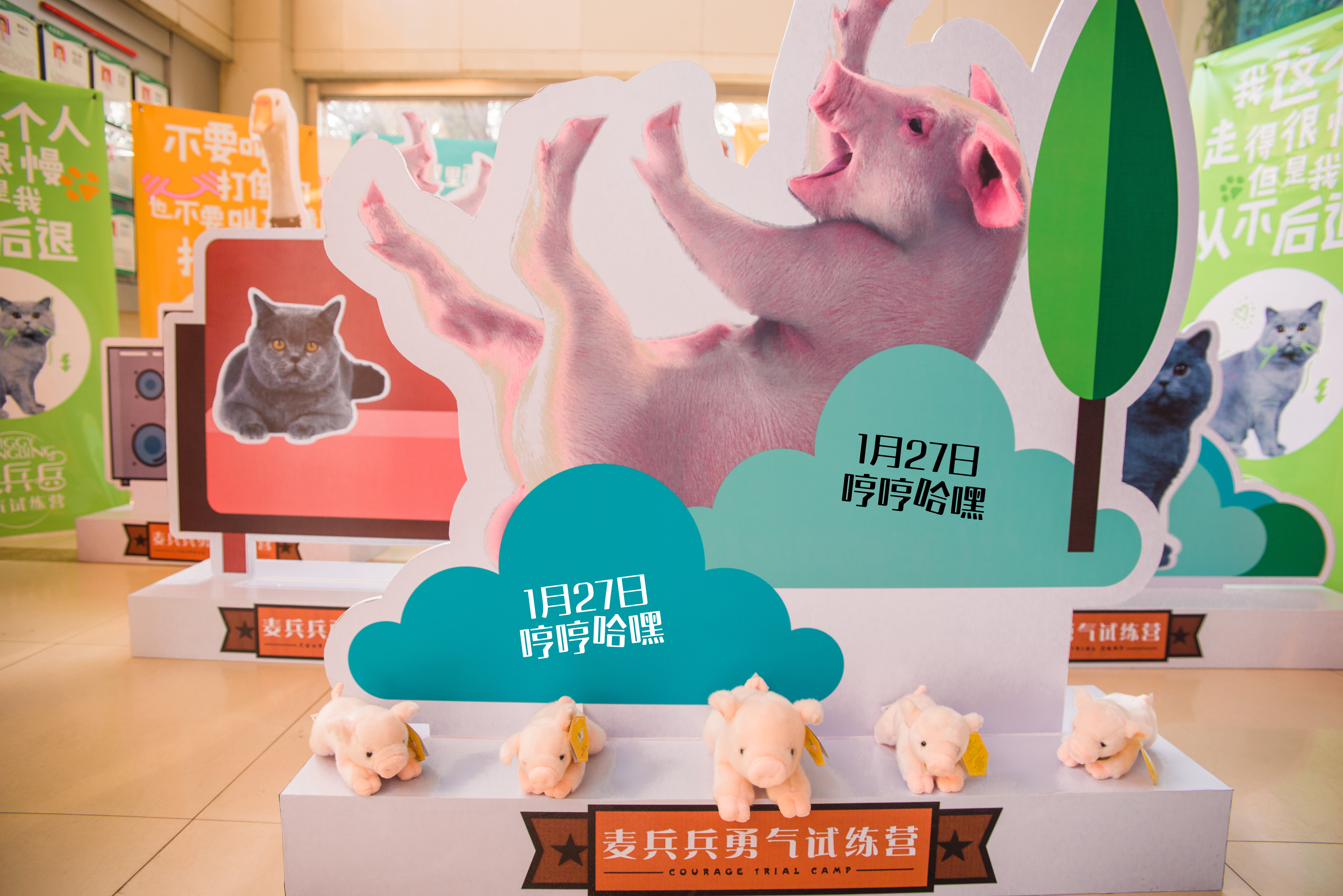 麦兵兵之夺宝联“萌”剧照的剧照